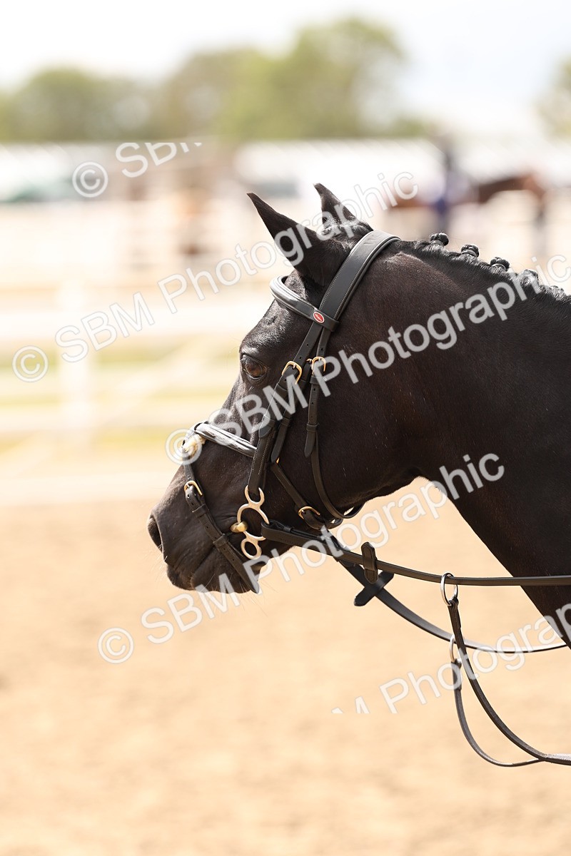 SBM_06151 - Class 57a -  Style & Performance - 60cm (15-19)