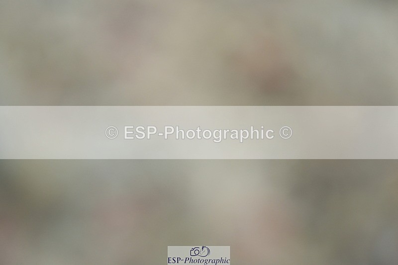 230708A-115557-01220 - Novice 23