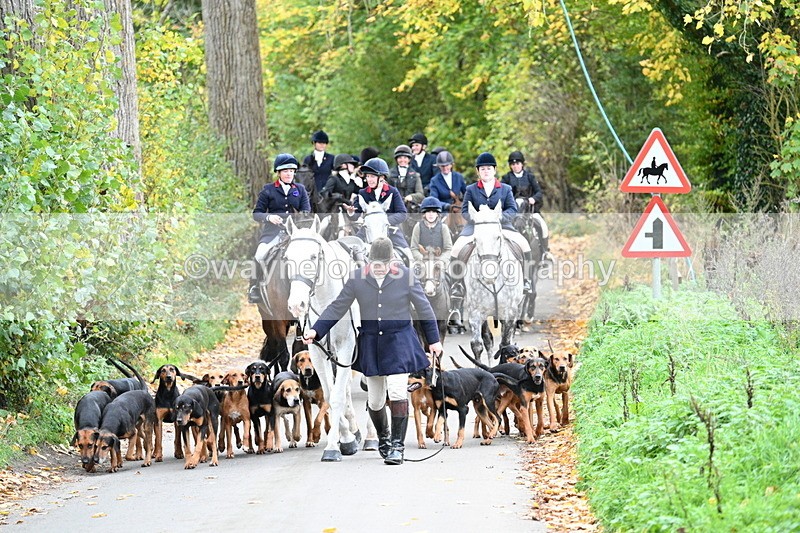 WJ7_7149 - Walk Home..