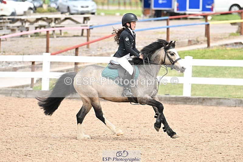 250608-133856-02991 - Cls 33,34+35 10Years, SS, Springboard and Winters