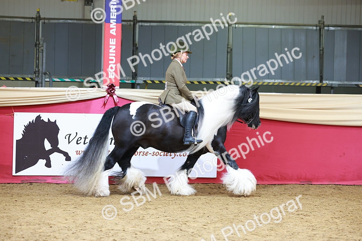 SBM_06162 - Class 12R - Ridden Pre-Vet