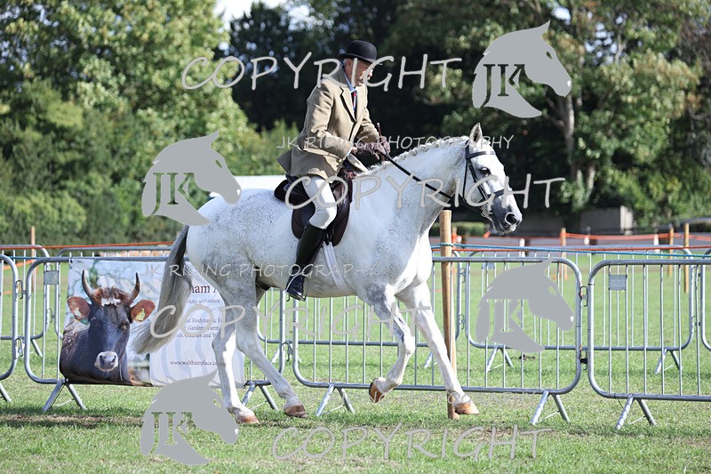 APP_4211 - Class 15a/b Pony club pony/Riding club horse