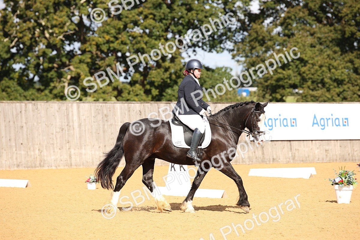 SBM_04184 - D2 Small Tour Championship Intro C