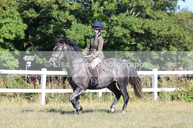 3E7A5515 - Class 3: Working Hunter 70cm