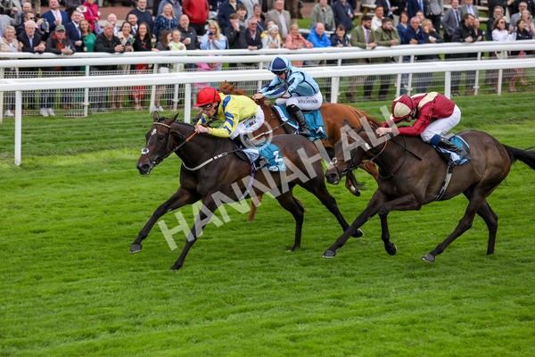 120724-Race 4-Karmology-1730 - Race 4 3.50pm Azets Handicap