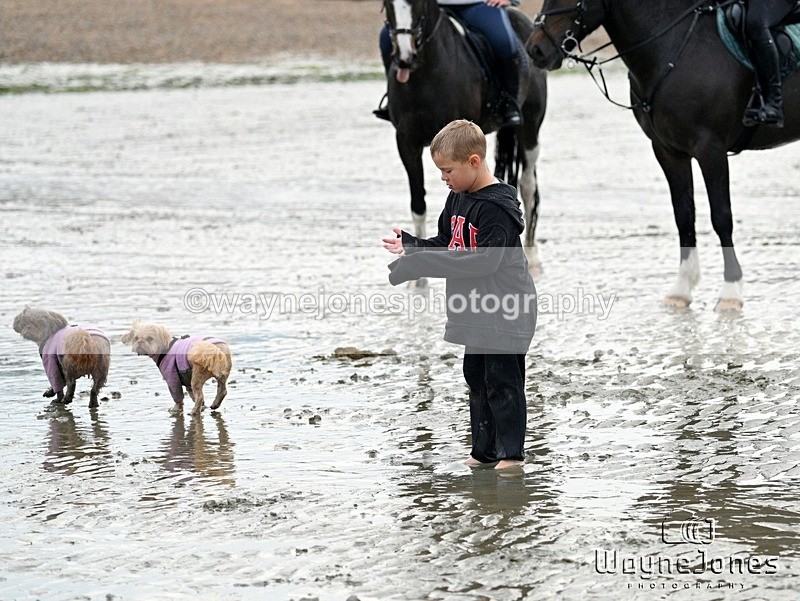 WJ7_9621 - Hayling Island Beach Shoot 22-09-24