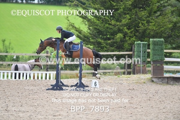 BPP_7893 - CLASS 5 Pony Discovery / 90cm Open