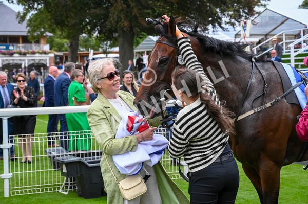 210824-Race 5-Extensio-5666 - Race 5 4.10pm Sky Bet Stayers Handicap