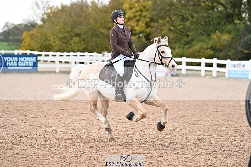 241117X-091038-03154 - Cls 05s A&B Pony Brit Nov & 80 Open