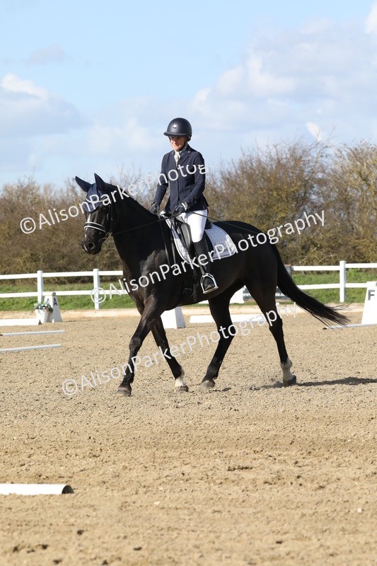 20260314-4953 - CT6 - Elementary 1