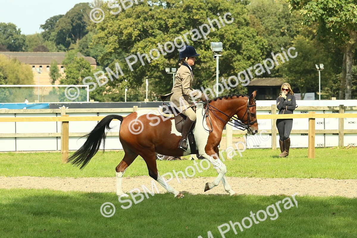 SBM_67494 - S56 - Coloured Pony Ridden