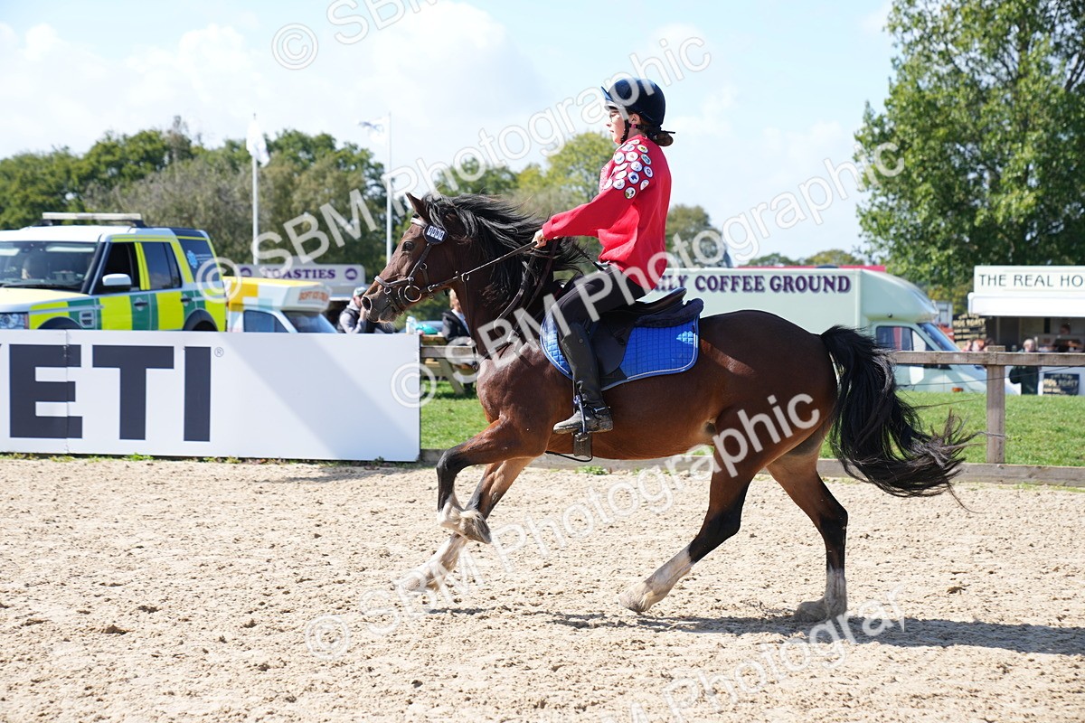 SBM_05027 - J56 - Clear Round 70cm