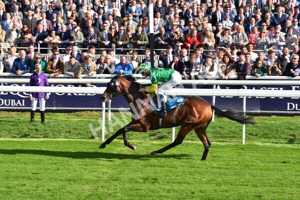 yr08102022r1-40 - Race 1 1.30pm The Coral Play 'Racing-Super-Series' for Free Nursery Handicap