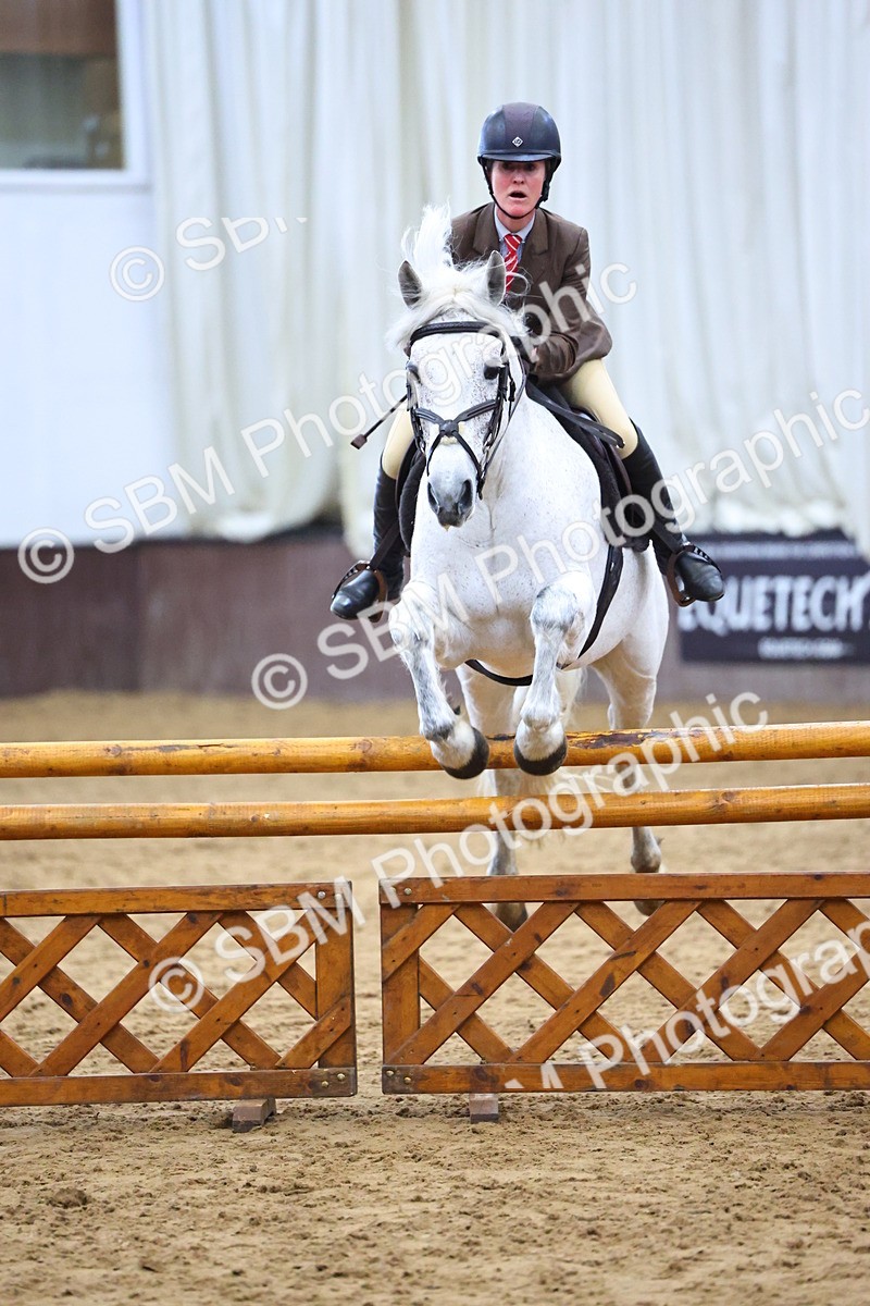 SBM_006608 - Class 43 - RIHS Qualifier Exceeding 43cms