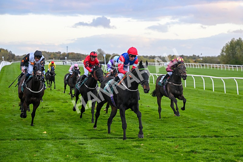 281025-Race 7-Crocodile Power-2120 - Race 7