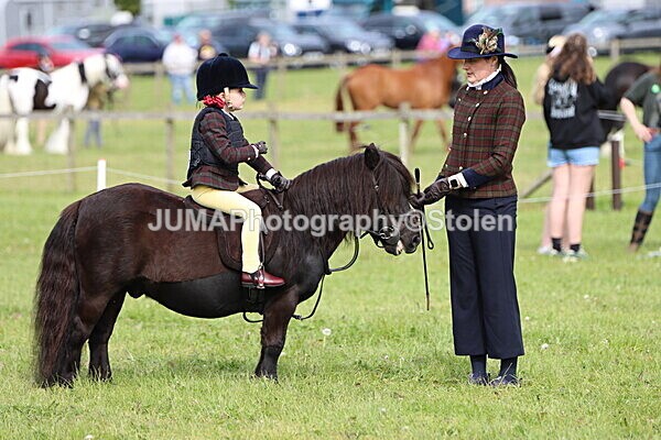 IMG_2258 - Working Hunter