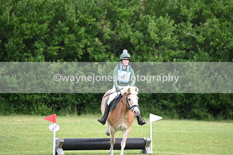 WJ6_2278 - Class 2 40cm