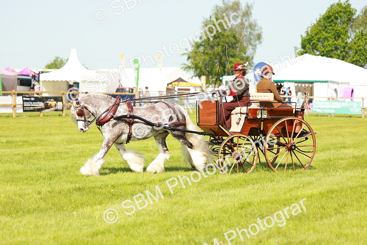 SBM_02654 - Class 2-4 - HOYS Private Driving