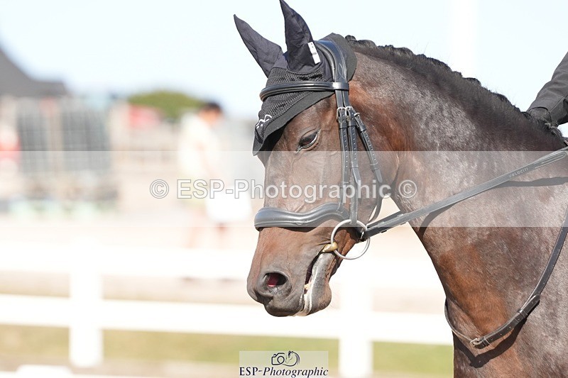 250817-164237-11938 - 210-Zoe.SmartBroadtown.King.Fisher