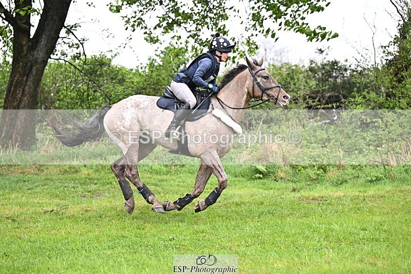 250418-122505-02947 - 055-Holly.Day-MUSTANG