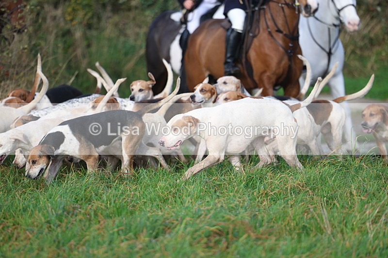 3E7A0424 - Four Burrow Opening Meet 2025