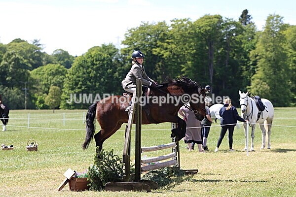 IMG_3601 - Working Hunter