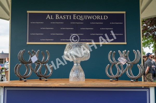 160524-Race 4-Economics-7999 - Race 4 3.45pm Al Basti Equiworld Dubai Dante Stakes