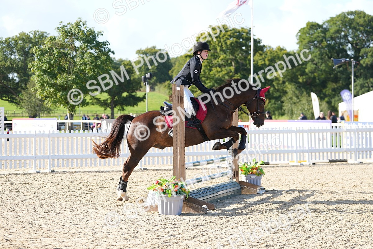 SBM_14479 - J57 - Clear Round 65cm