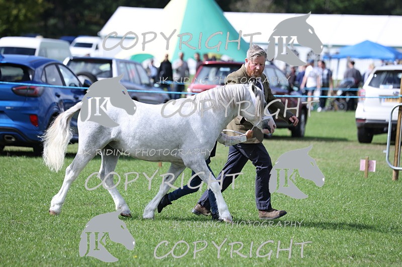 APP_3005 - Class 10a/b M&M in hand