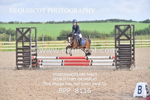 BPP_8116 - CLASS 11 SUN  Club/ Unaffiliated 60cms Open