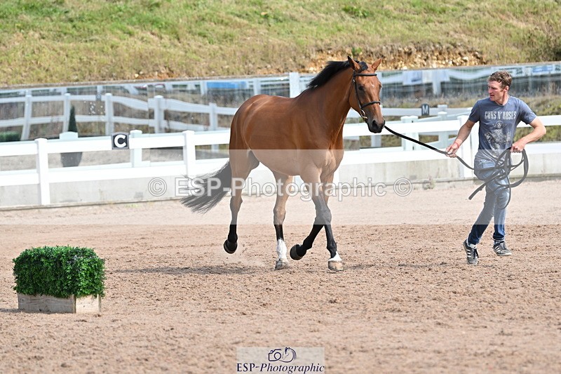 240717A-161436-03367 - Trot Up 4pm to 5pm