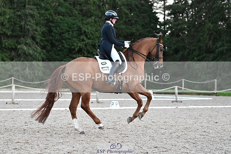 231110-164028-02725 - Cls 14 FEI Grand Prix