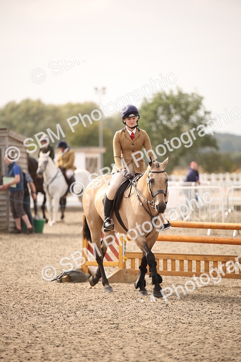 SBM_17141 - Class 409b - Working Veteran 80cm (20+)