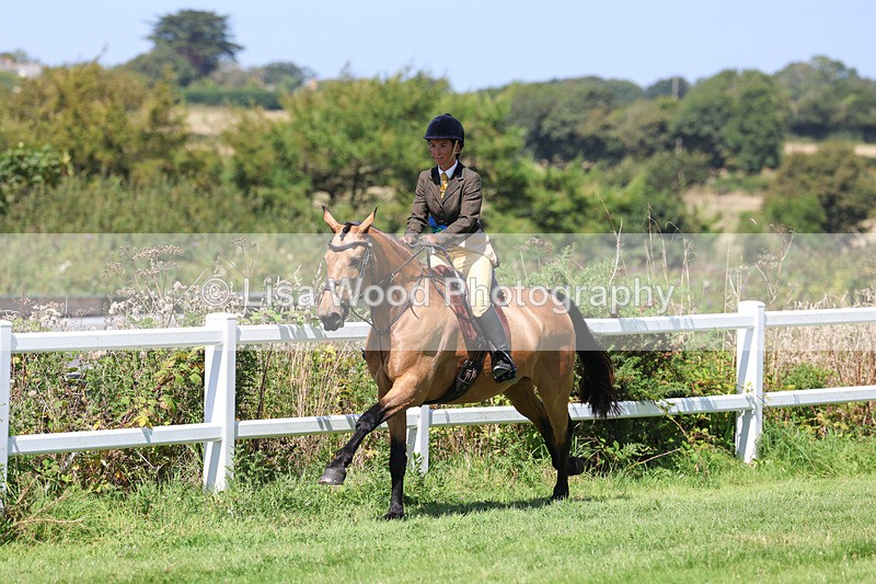 3E7A9219 - Working Hunter Championship