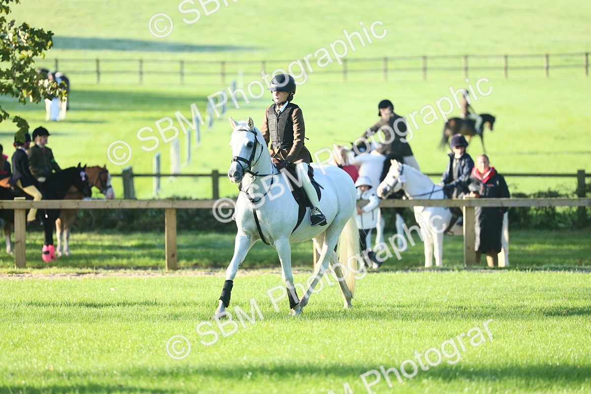 SBM_37373 - S29 - Novice & Newcomers Working Hunter Pony