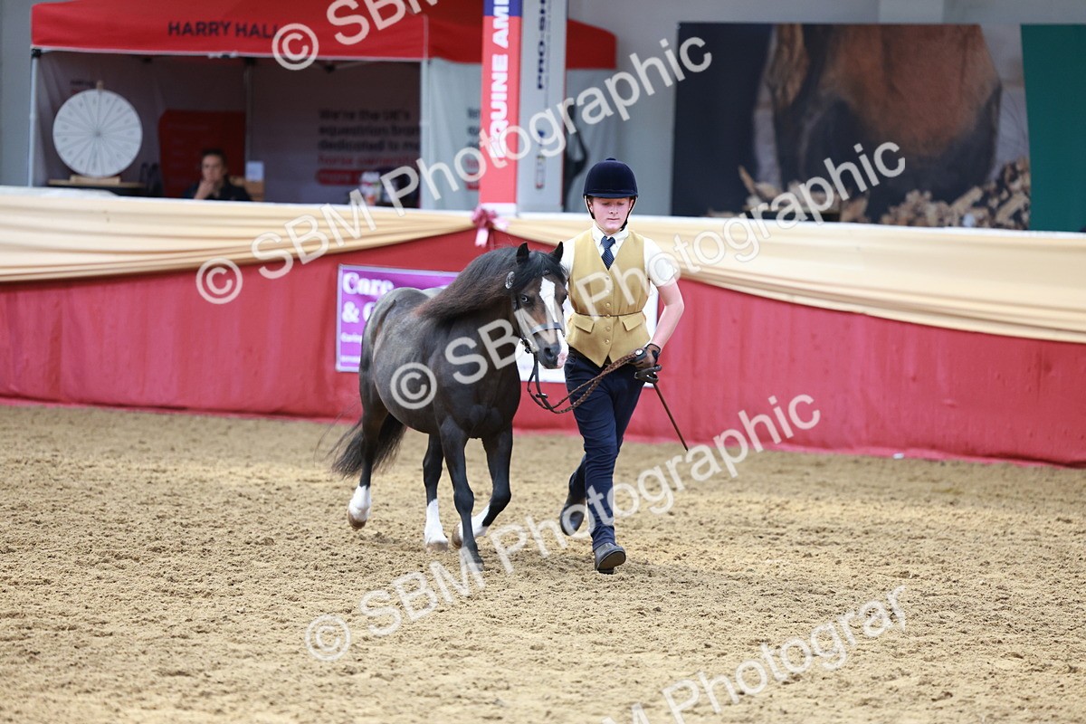 SBM_17369 - Class 951 - M&M IH Supreme Final