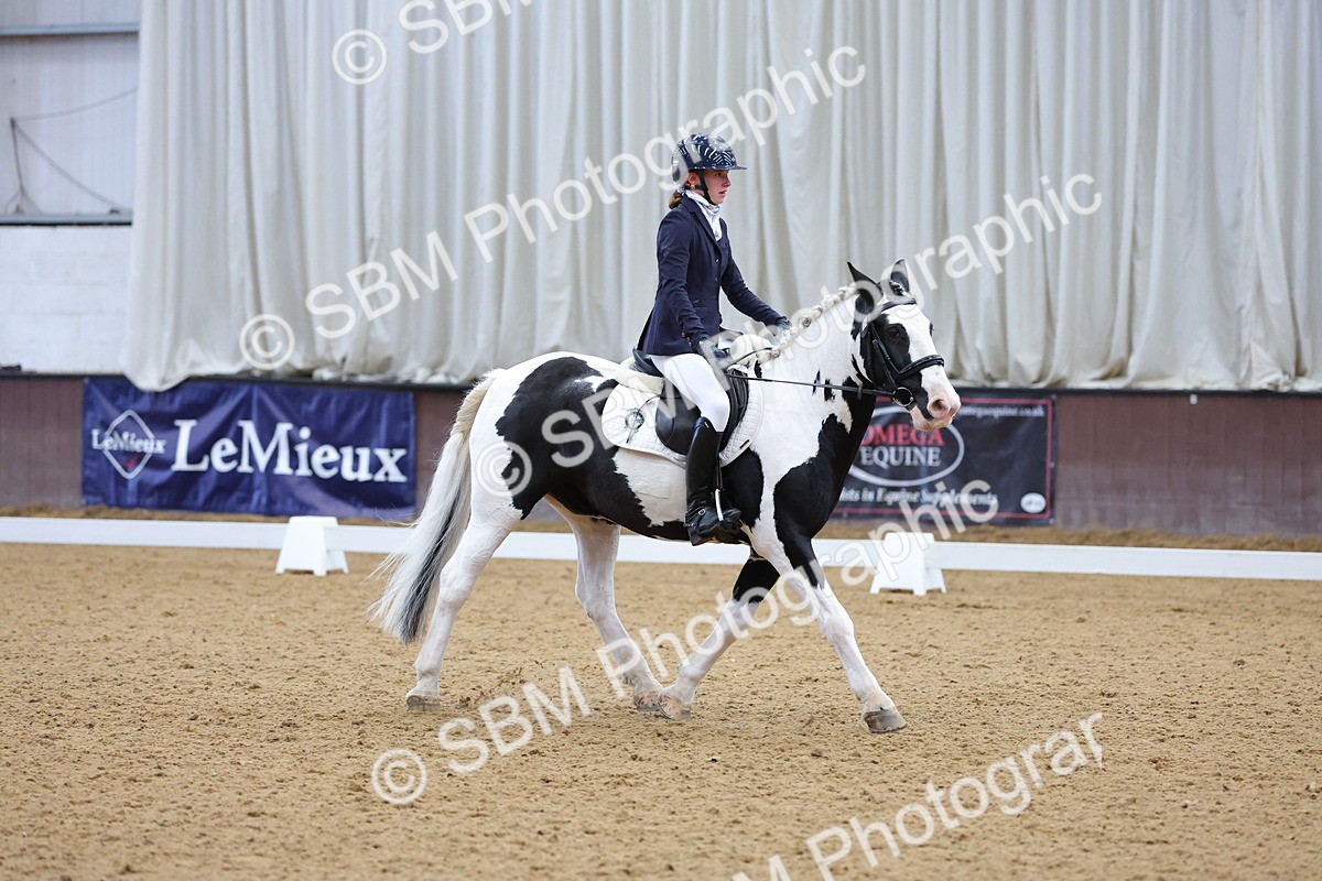 SBM_002623 - Novice