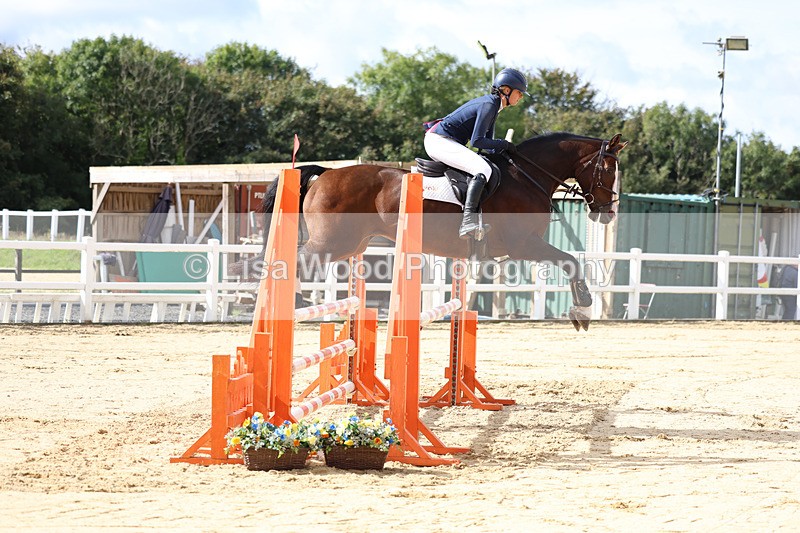 3E7A1990 - Class 4: Senior British Novice/90cm open