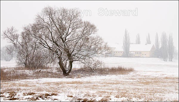 Snow along the River Elbe #5 - Prague to Berlin along the Elbe river