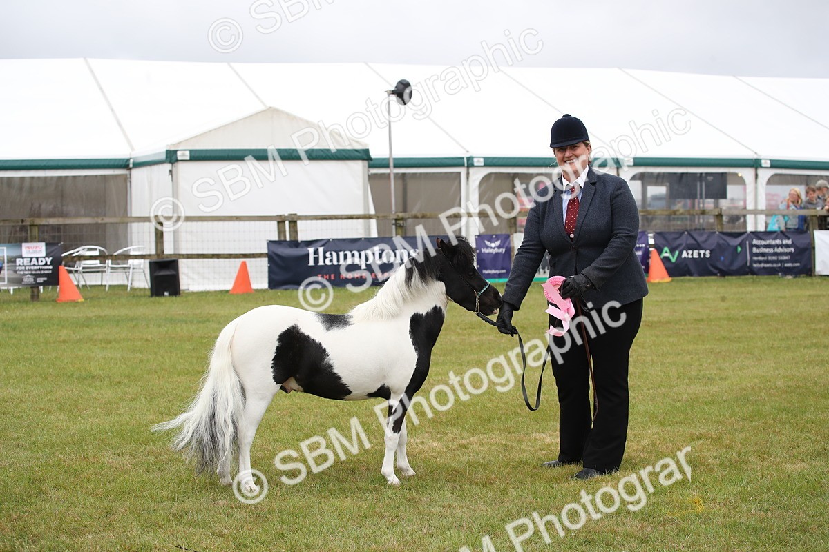 SBM_03839 - Class 23-25 - British Miniature Horse of the Year