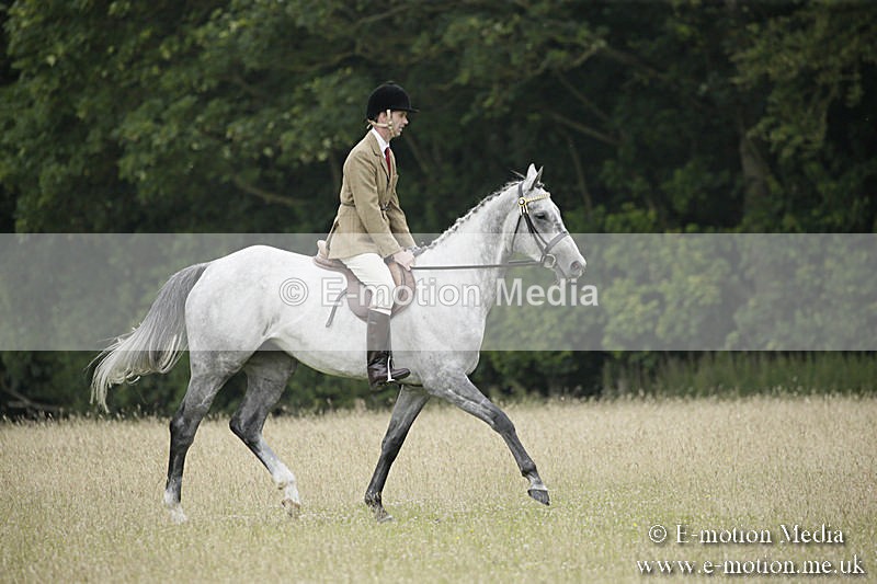 B230619-0683 - Bourne Valley Riding Club Summer Show 23/06/19