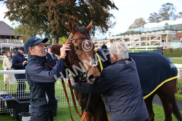 yr07102022r5-32 - Race 5 4.25pm Copper Knight Winningmost Horse Stakes