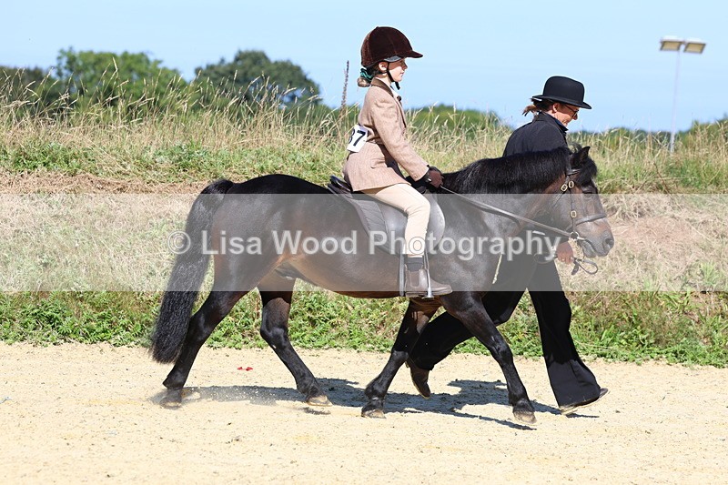 3E7A8039 - Class 15: Lead Rein