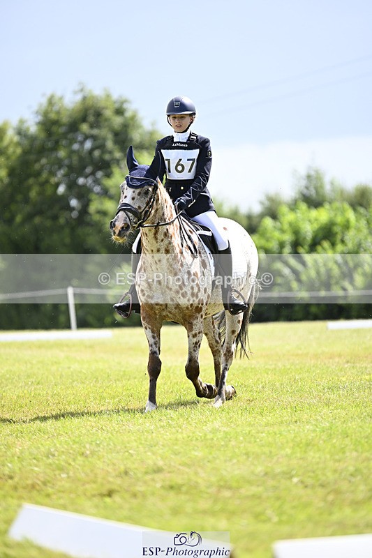 240824X-125655-26628 - D80 Section E and F 12.00 to 13.20