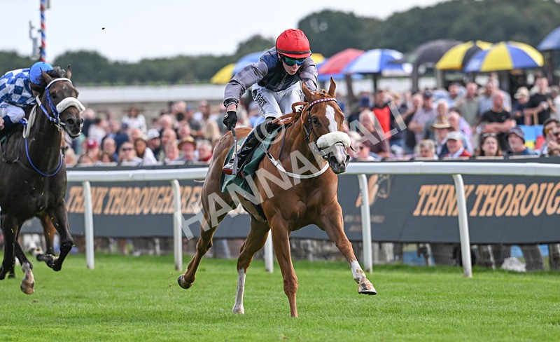 190826-215 Miss Yechance - Race 6 16.45pm Irish Thoroughbred Marketing Handicap