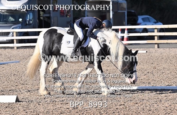 BPP_8993 - SHORT ARENA INTRO 3