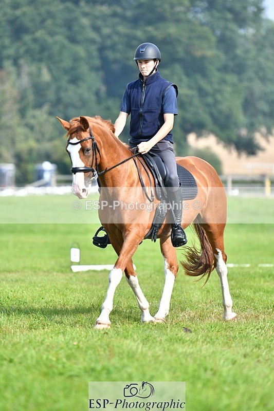 230817-093539-02602 - Abbie's 1st Group - Dressage