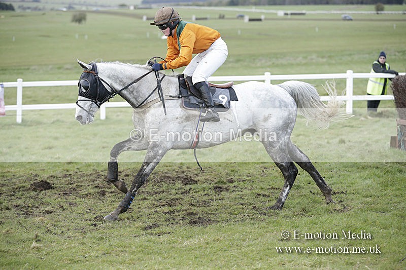 PtP 150320 0730 - New Forest Point-to-Point Larkhill 15/03/20