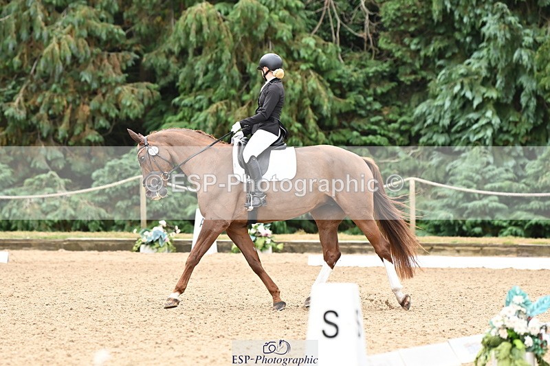 250808A-102932-00324 - 024-Daisy.Hedges-Felicia.V