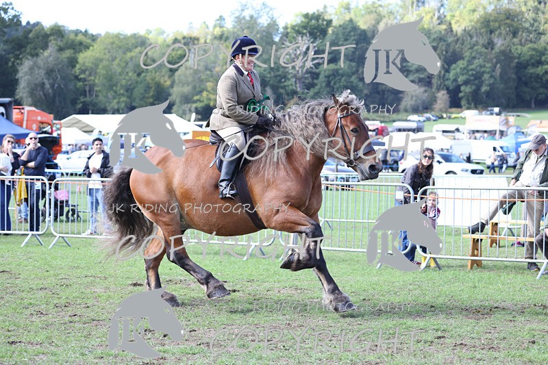 APP_3787 - Class 8 Ridden Class